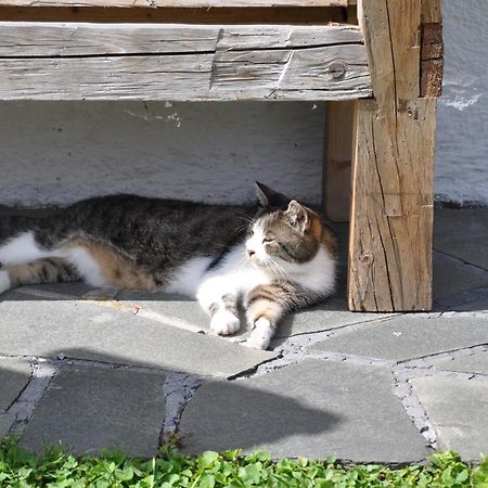 Willa Wohlfuehlbauernhof Bambichlhof Fuschl am See Zewnętrze zdjęcie