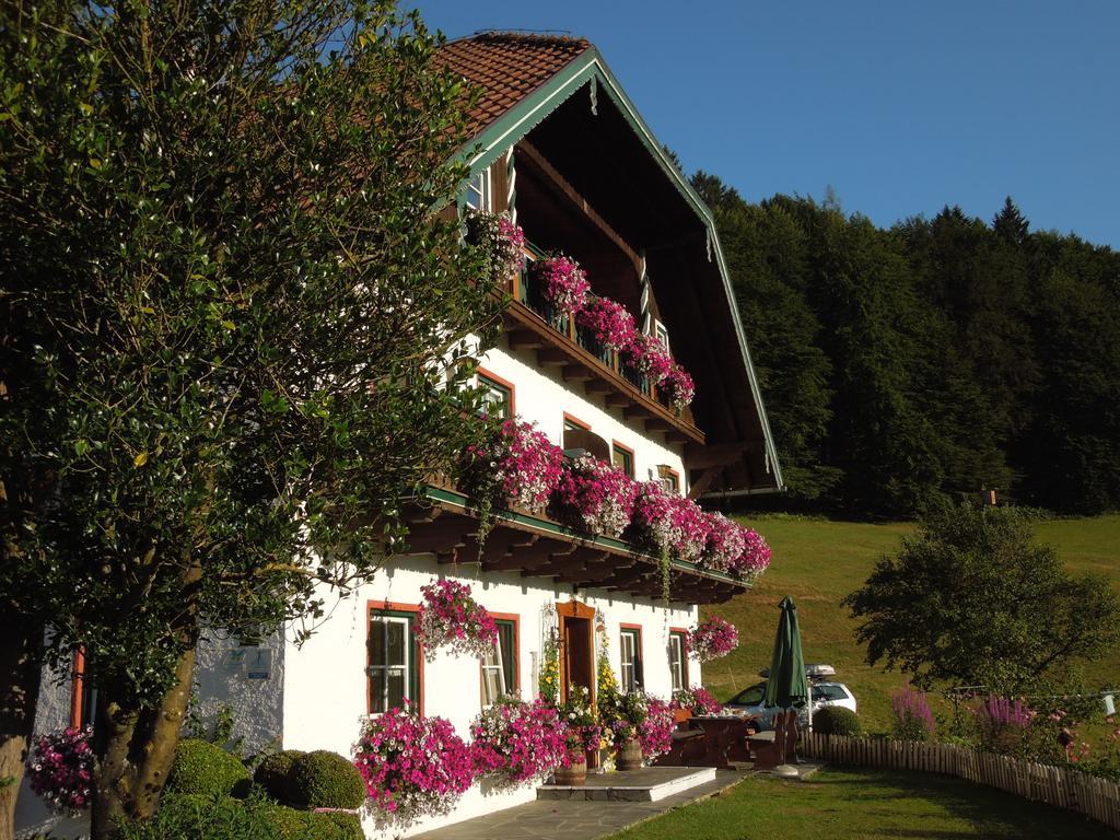 Willa Wohlfuehlbauernhof Bambichlhof Fuschl am See Zewnętrze zdjęcie