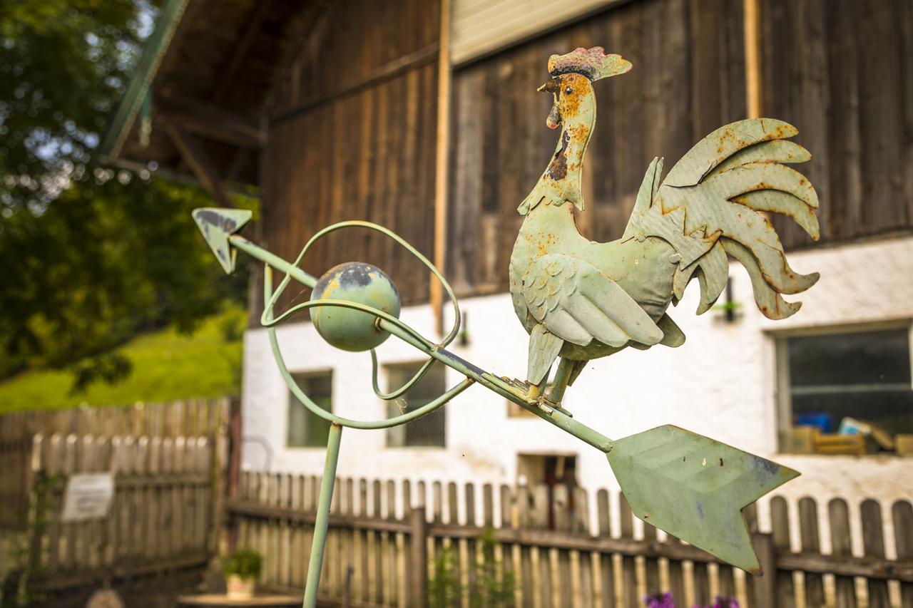 Willa Wohlfuehlbauernhof Bambichlhof Fuschl am See Zewnętrze zdjęcie