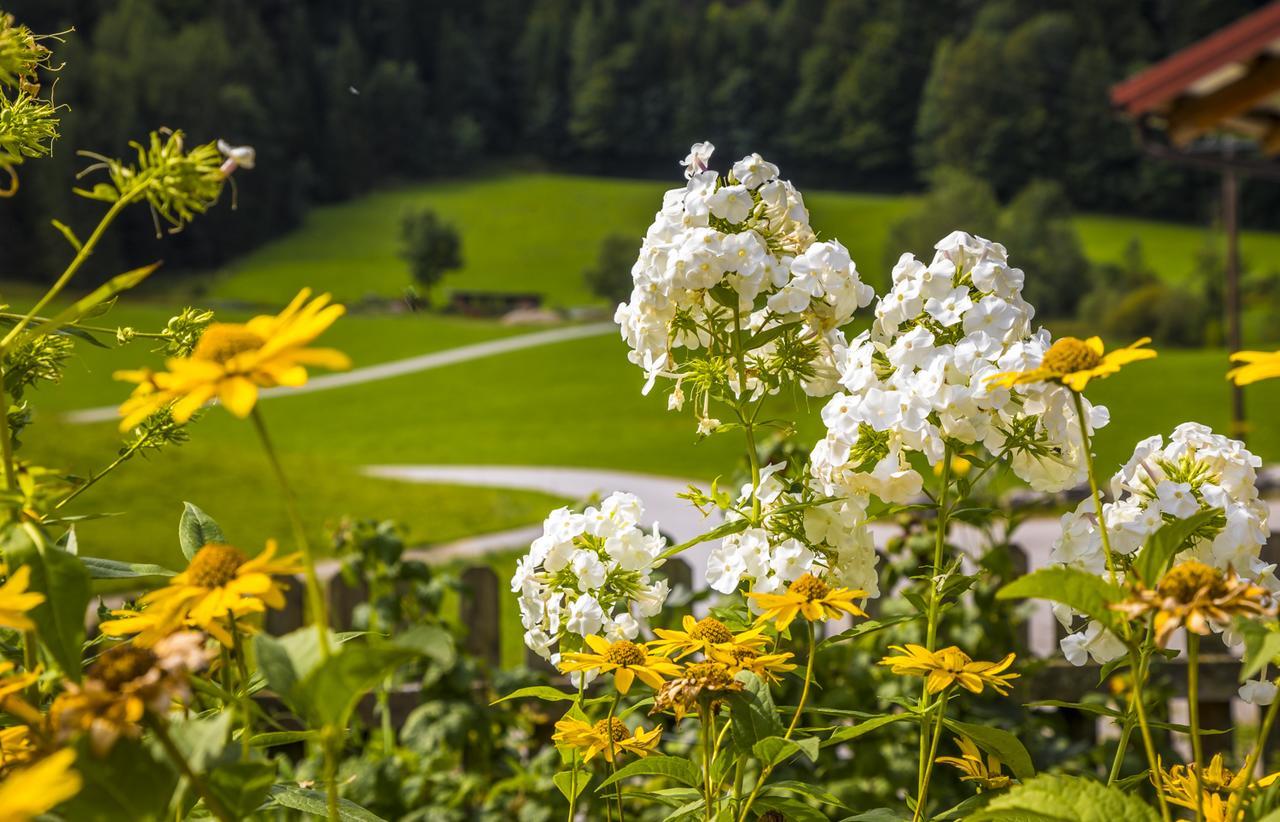 Willa Wohlfuehlbauernhof Bambichlhof Fuschl am See Zewnętrze zdjęcie