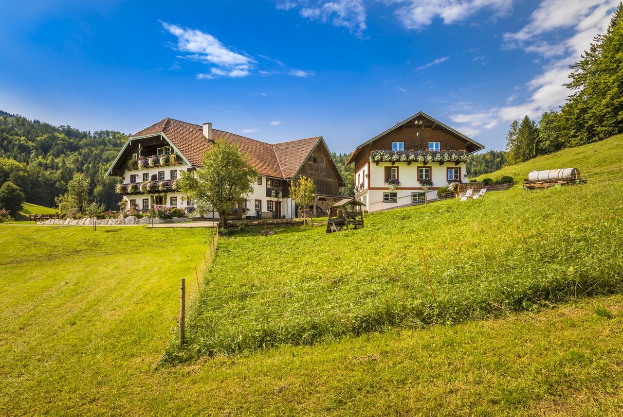 Willa Wohlfuehlbauernhof Bambichlhof Fuschl am See Zewnętrze zdjęcie