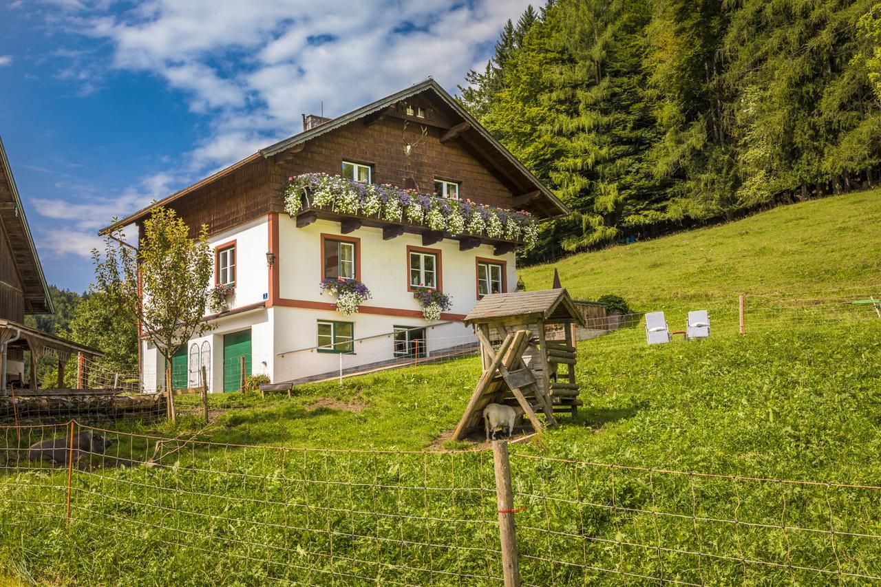 Willa Wohlfuehlbauernhof Bambichlhof Fuschl am See Zewnętrze zdjęcie