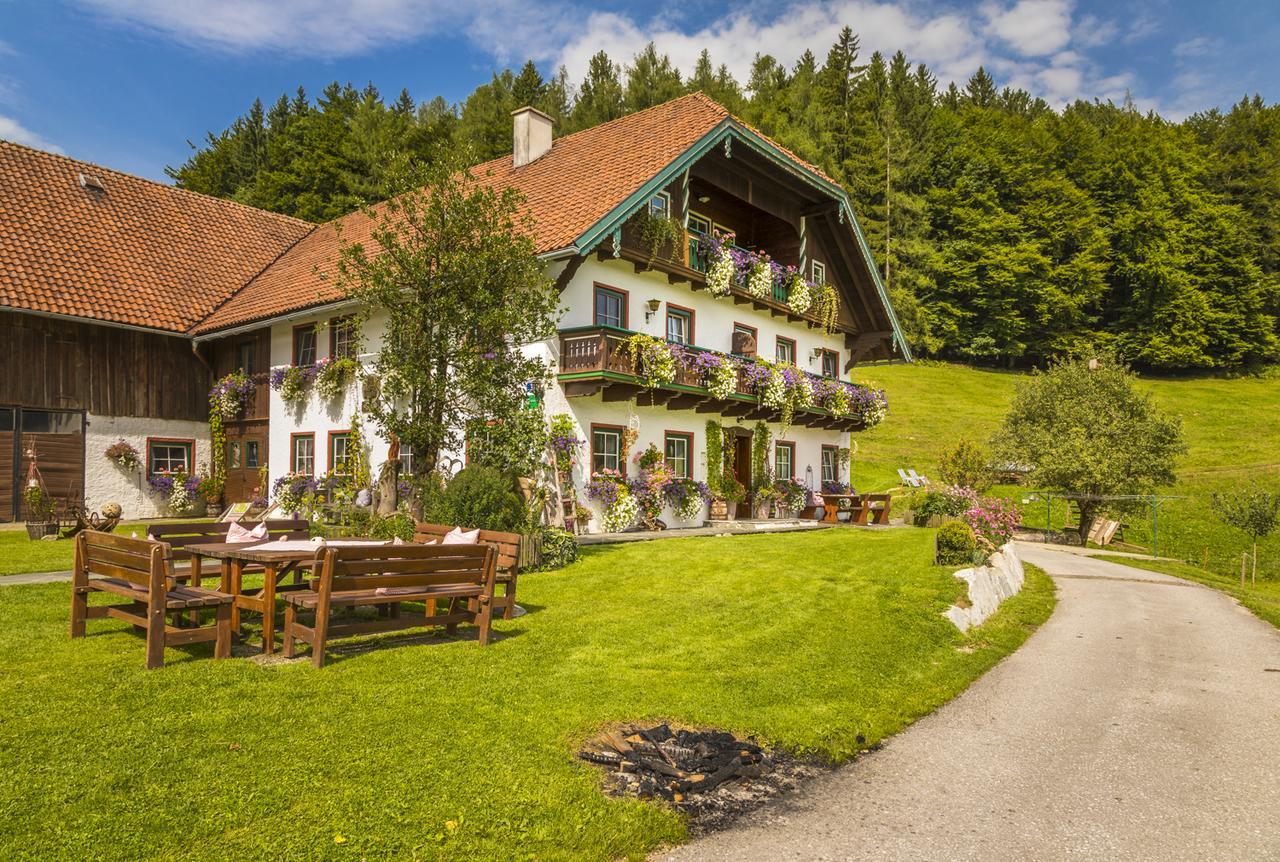 Willa Wohlfuehlbauernhof Bambichlhof Fuschl am See Zewnętrze zdjęcie