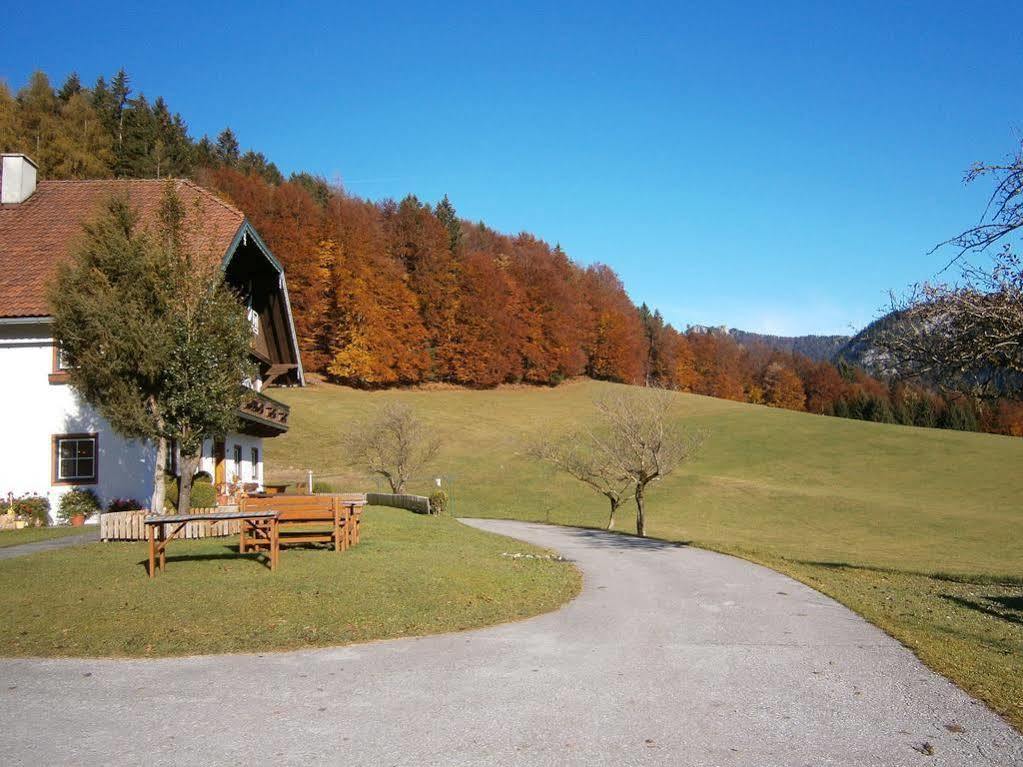 Willa Wohlfuehlbauernhof Bambichlhof Fuschl am See Zewnętrze zdjęcie